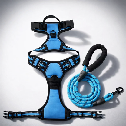Anti-pull harness set for calm walks