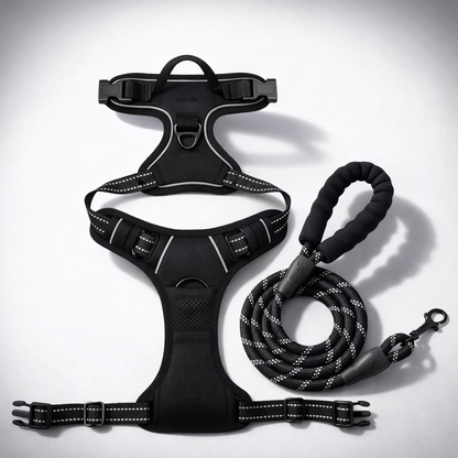 Anti-pull harness set for calm walks