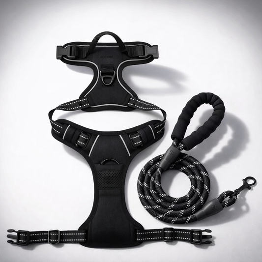 Anti-pull harness set for calm walks