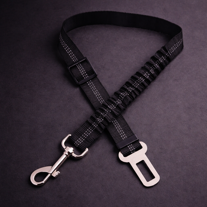 Shock-absorbing seat belt