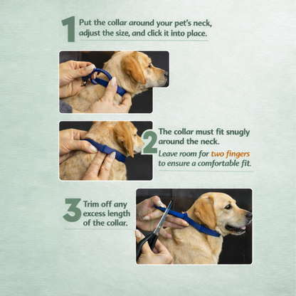 Natural parasite protection collar
