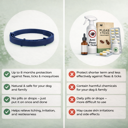 Natural parasite protection collar