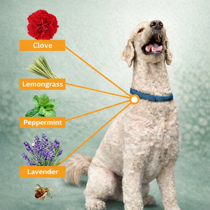 Natural parasite protection collar
