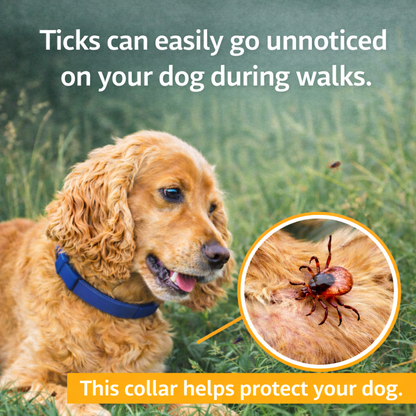 Natural parasite protection collar
